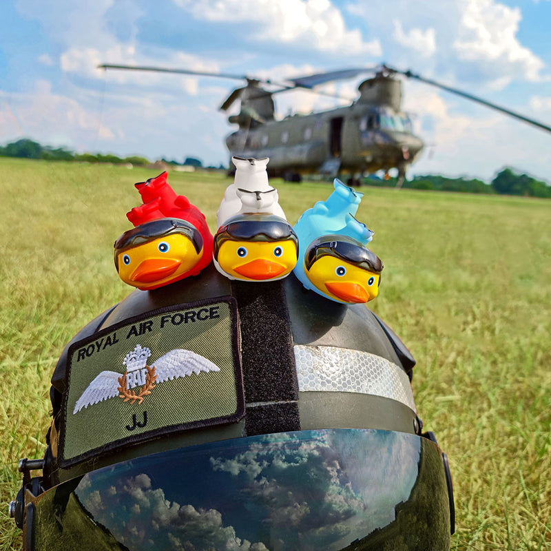 RAF Association Duck