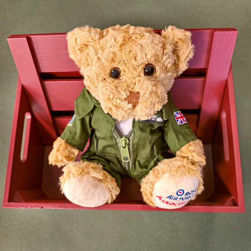 Pilot Bear RAFA