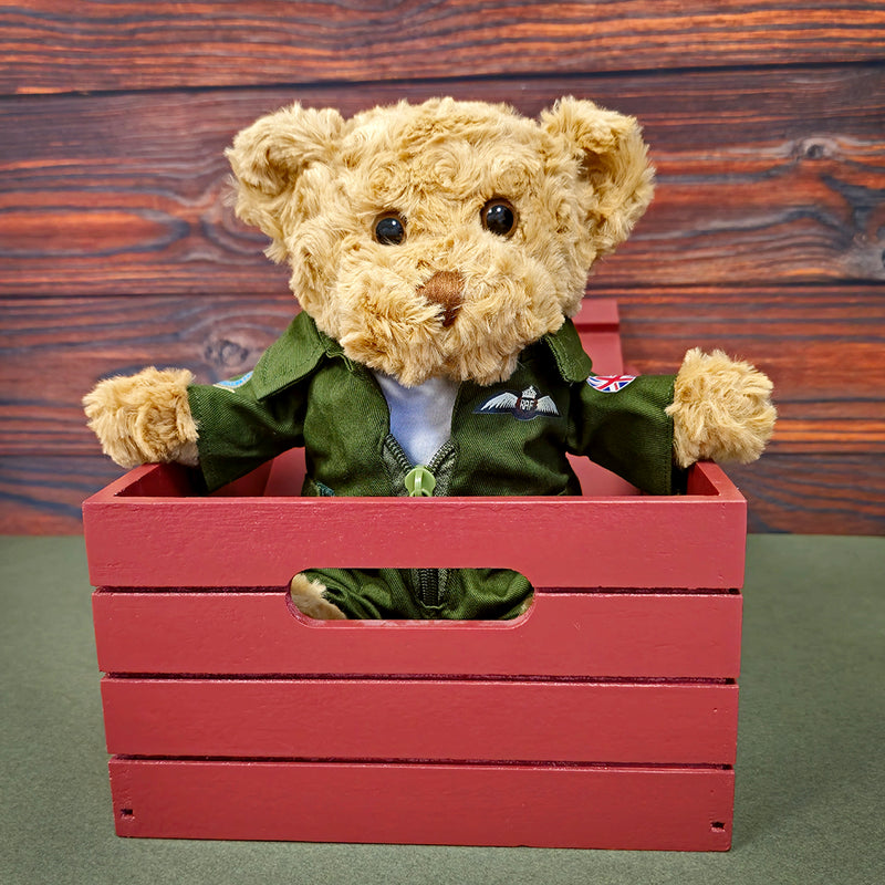Green Pilot Bear