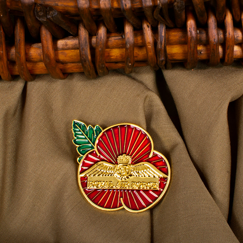 RAF Wings Pin