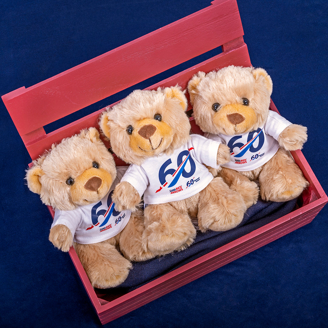 60th birthday teddy bears hotsell