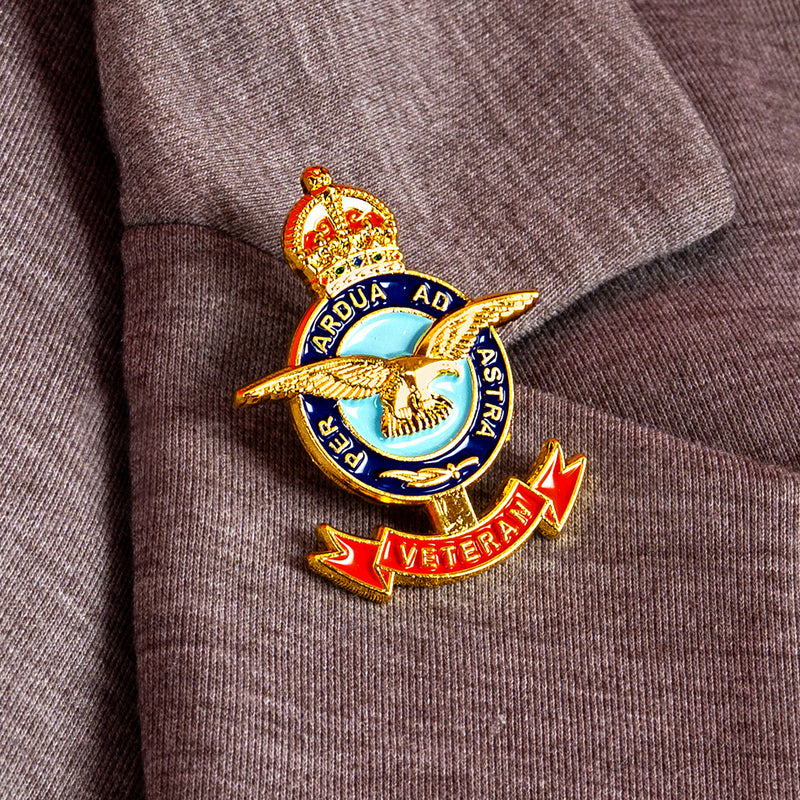 RAF Veteran Pin Badge
