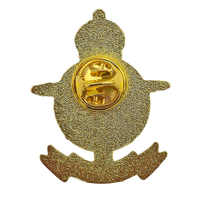 RAF Veteran Pin Badge