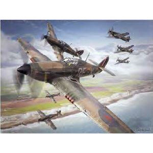 3D LiveLife Jotter - Hurricane Patrol - RAFATRAD