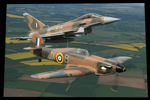 Typhoon and Hurricane Picture