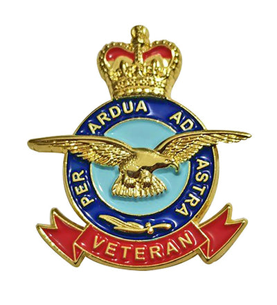 RAF Veteran Pin